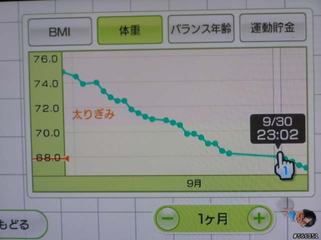 Wii FIT 個人使用心得