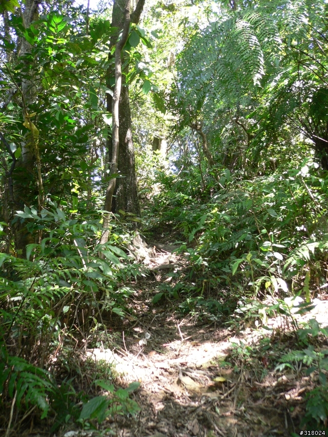 貓空新OFFROAD路線探路報告