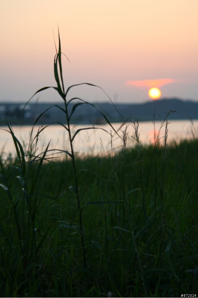 瑞士名鏡-16mm電影機鏡頭 Kern Paillard Yvar 75/2.8.
