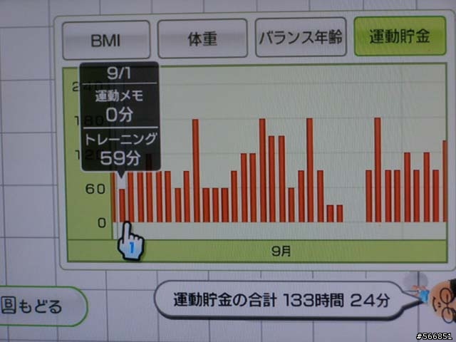 Wii FIT 個人使用心得