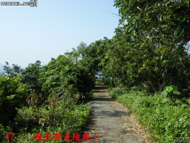 霧峰鄉山林縱騎 象鼻坑-峰谷-南坑-桐林分享