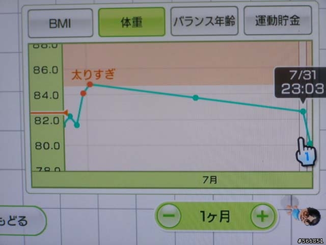 Wii FIT 個人使用心得
