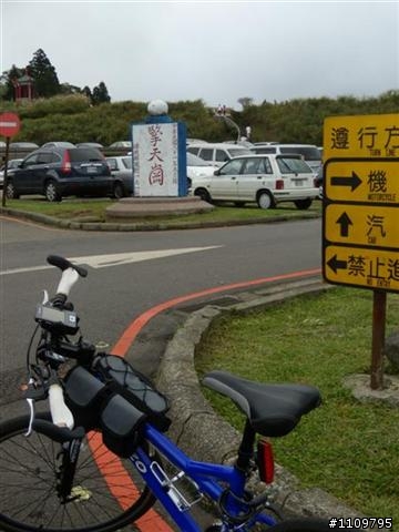 平價 公路車 Venzo 2621