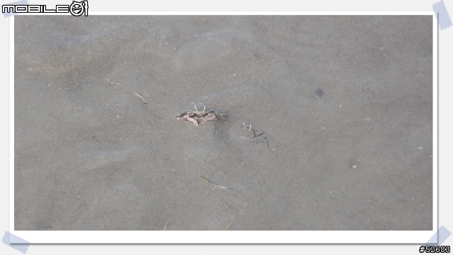 [環島文] 陌生人環島第三、四天-海角 7號阿嘉的家+拿信郵局... 蘇花公路＋北宜公路...