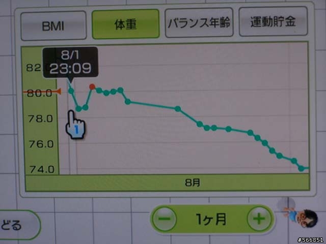 Wii FIT 個人使用心得