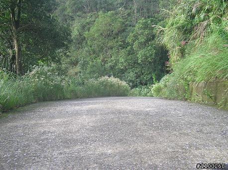 魯肉腳再戰   鵠鵠崙   2