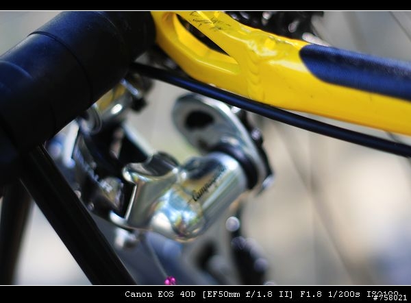 Airnimal Chameleon 一台值得推薦的好車----分享by bikeryoyo