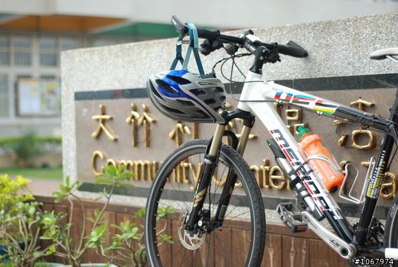 台中  南投鳳山寺 (圖多)