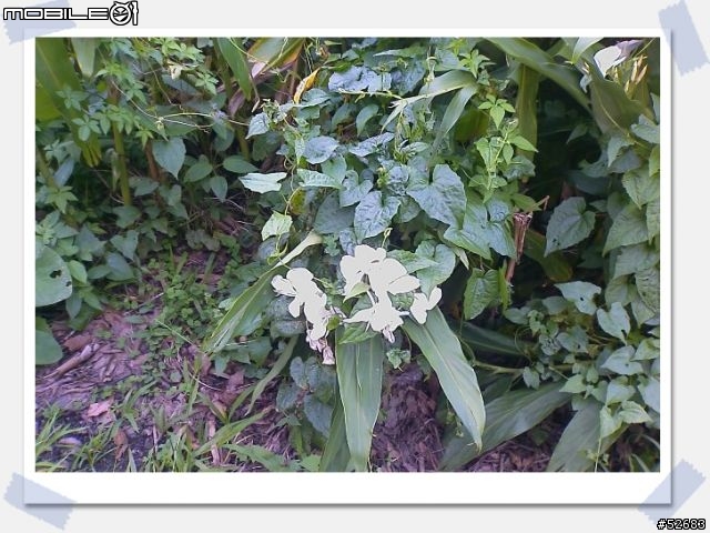 [環島文] 陌生人環島第三、四天-海角 7號阿嘉的家+拿信郵局... 蘇花公路＋北宜公路...