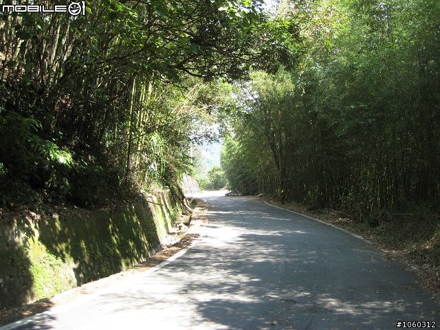 [遊記]自不量力--宇老大滿貫