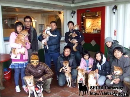 柴犬大學一週年學園祭，熱情邀約