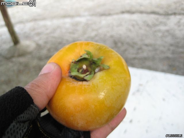 [遊記]自不量力--宇老大滿貫