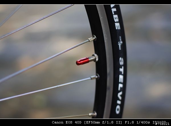 Airnimal Chameleon 一台值得推薦的好車----分享by bikeryoyo