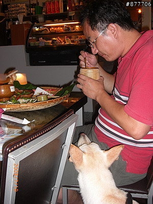 殘障犬白二兵日月潭消遙遊~