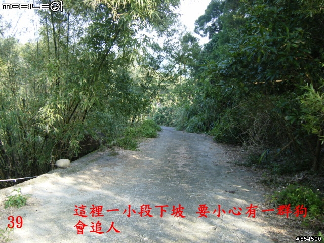 霧峰鄉山林縱騎 象鼻坑-峰谷-南坑-桐林分享
