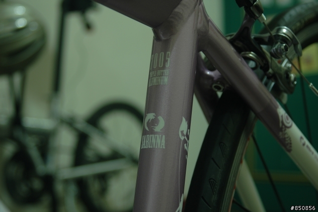[分享]女王的第一輛公路車Sabinna GP1