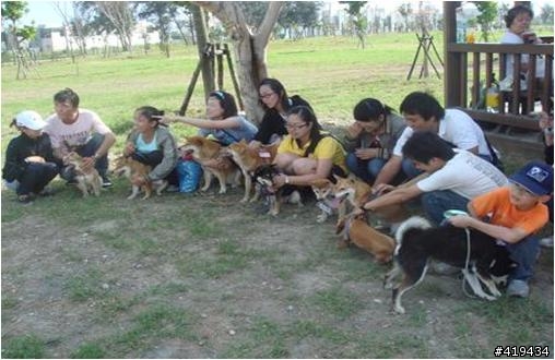 柴犬大學一週年學園祭，熱情邀約