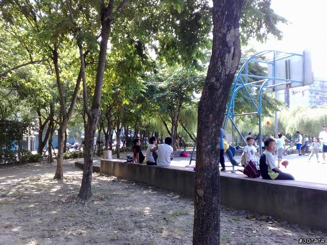 兄弟之間的較量