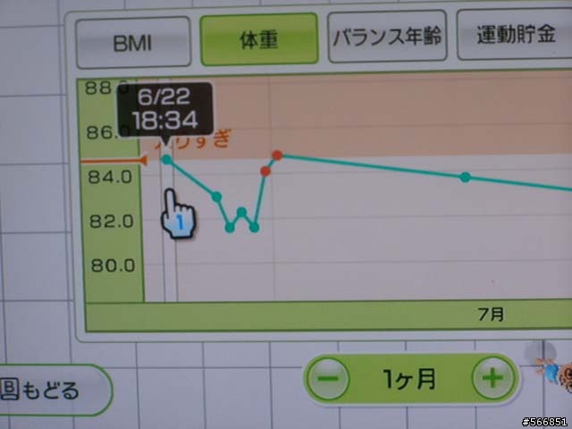 Wii FIT 個人使用心得