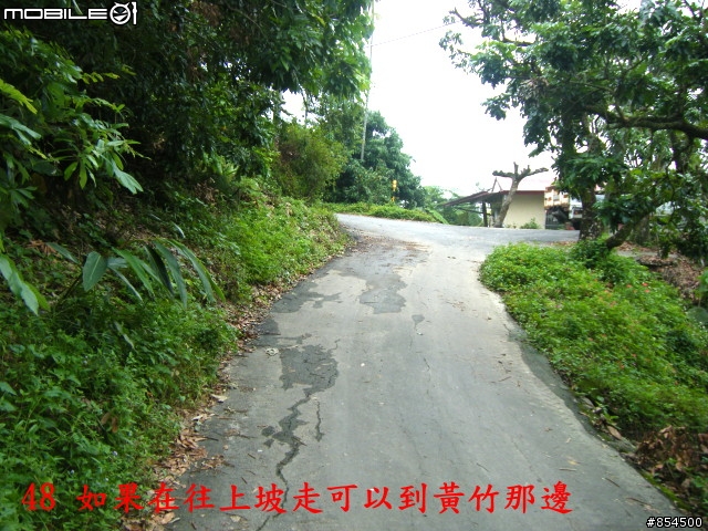 太平-後壁農路到牛角坑路線分享