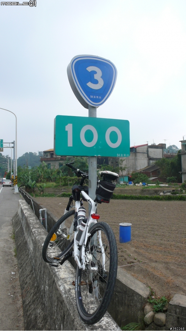 新手報到