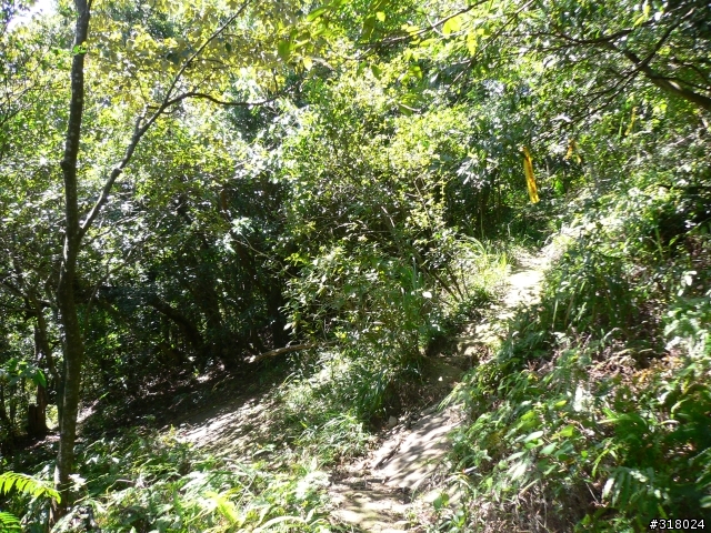 貓空新OFFROAD路線探路報告