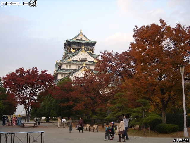 [開箱文]09 Bianchi 小白鳥