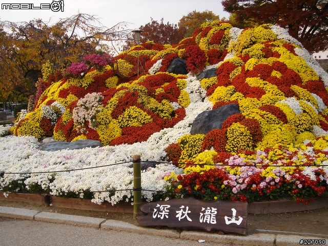 [開箱文]09 Bianchi 小白鳥