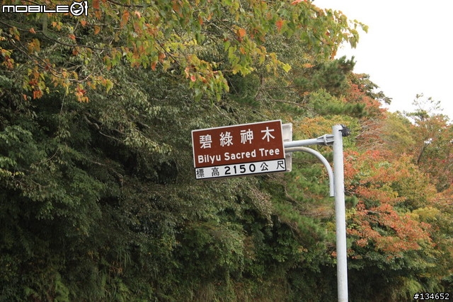 台北 太魯閣 中橫(第一次)一日遊