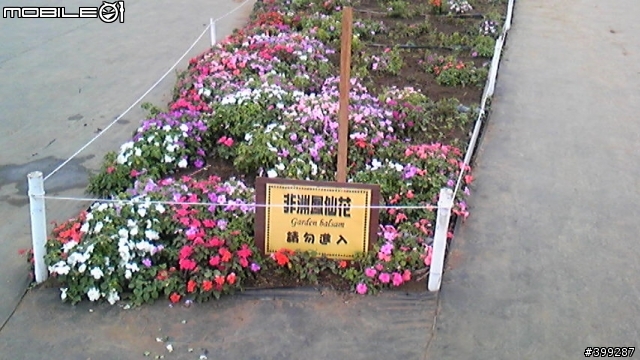 921sh隨手拍