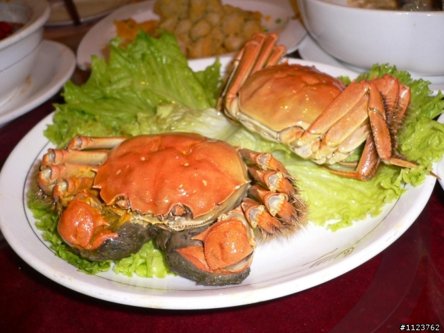 想買一支照相品質超過Panasonic LUMIX FX 7的照相手機...