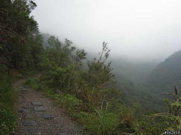 [11/8 跑馬古道影像分享)]11P完成越野,但有一點小遺憾