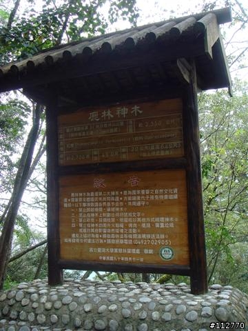 971010~971019 莊腳人莊腳咖 我三十一歲的三橫一豎記事 Day8