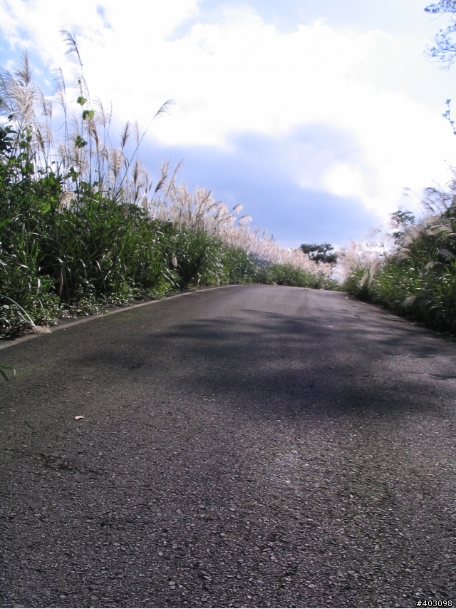 【分享】小K之支線旅行社探路記