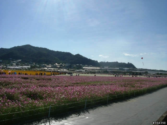 今天我要往香菇王國挺進 新社花海