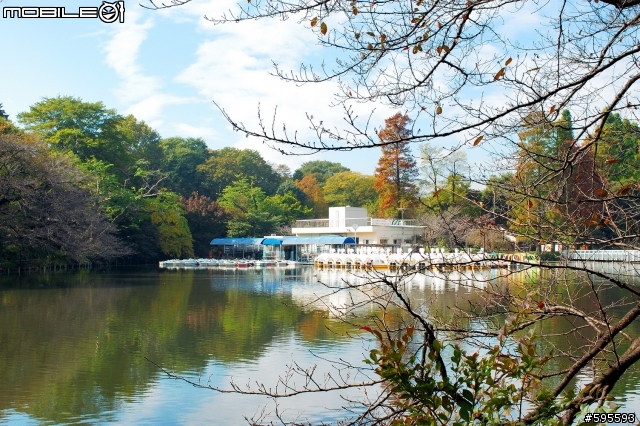 秋天的井の頭恩賜公園