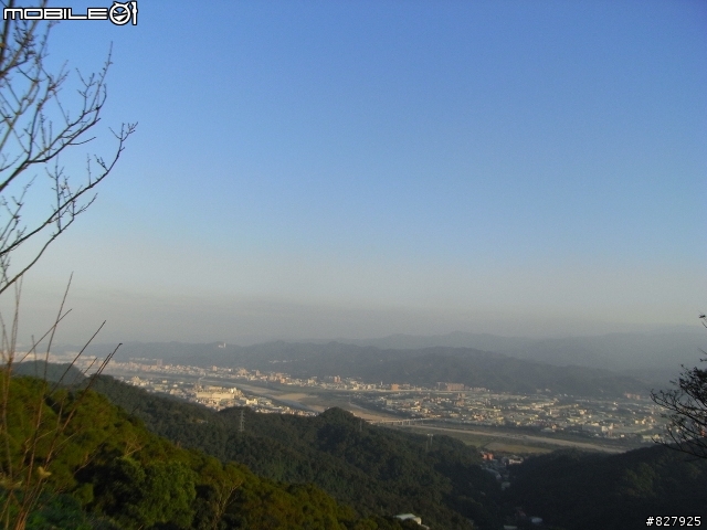 [遊記分享]桃園龜山兔子坑+樹林/鶯歌大榕樹