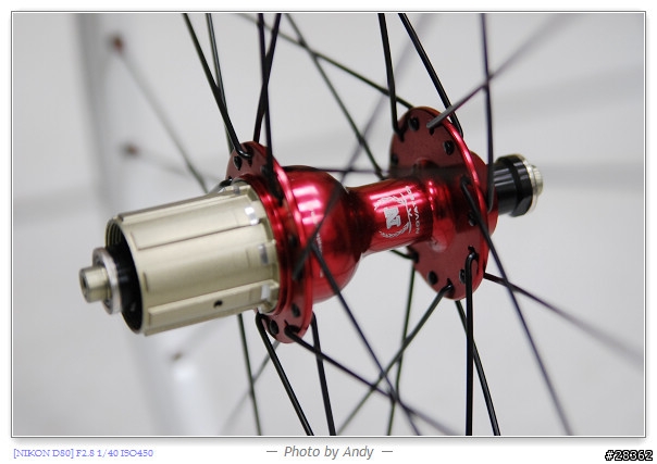 DAHON SP18心中惡魔再起之輪組改裝篇