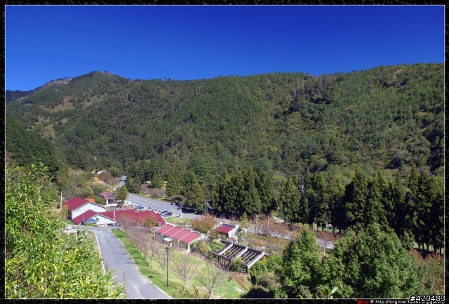 少了點秋天味道的武陵農場~~