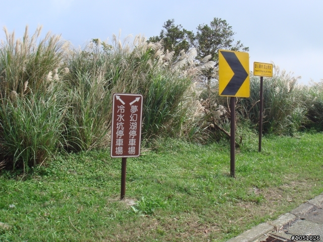[完整分享] 陽金公路P字賽路線探勘