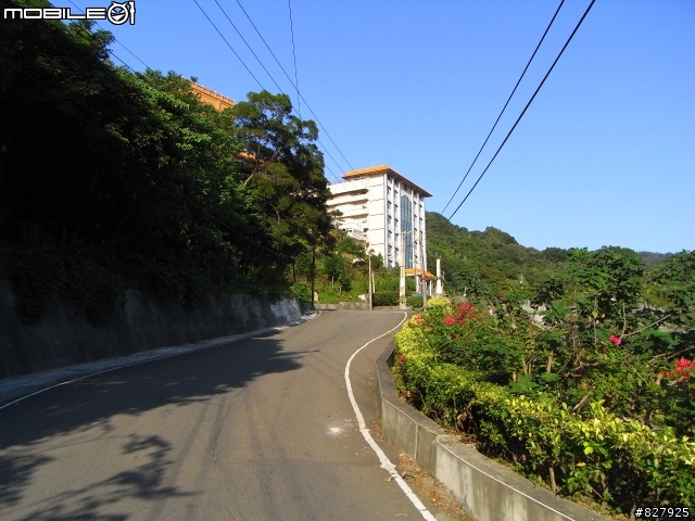 [遊記分享]桃園龜山兔子坑+樹林/鶯歌大榕樹