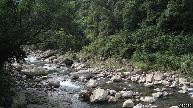 台北縣 三峽大埔→插角→大阪根→有木→滿月圓(大豹溪沿岸)