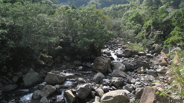 台北縣 三峽大埔→插角→大阪根→有木→滿月圓(大豹溪沿岸)