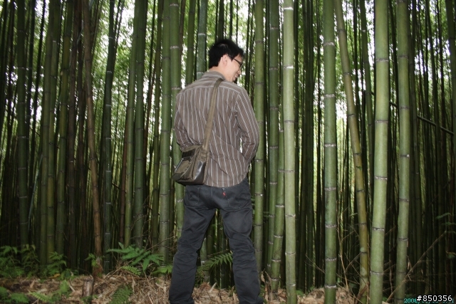 [出發前探路]2008.11.16 新竹縣五峰鄉和平部落鬼澤山+梅山 單車行前探路分享