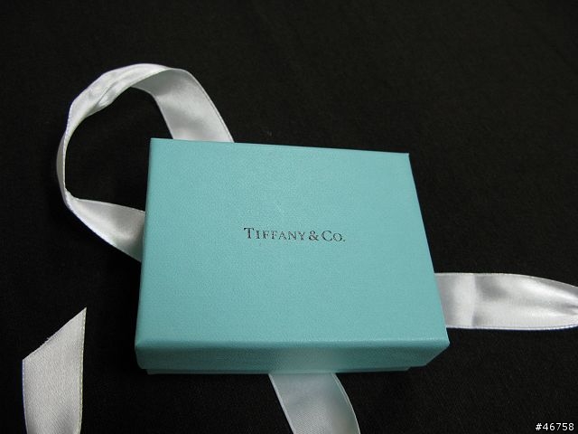 【TIFFANY】 925純銀男軍牌項鍊