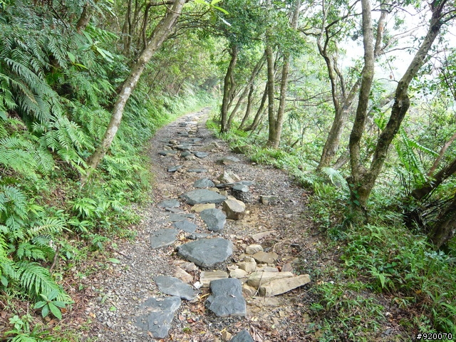 [11/8 跑馬古道影像分享)]11P完成越野,但有一點小遺憾