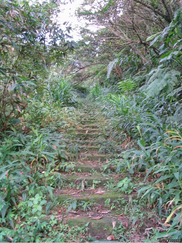 【分享】小K之支線旅行社探路記