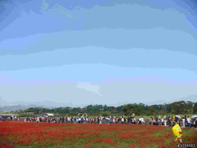 左撇子VS新社花海之旅