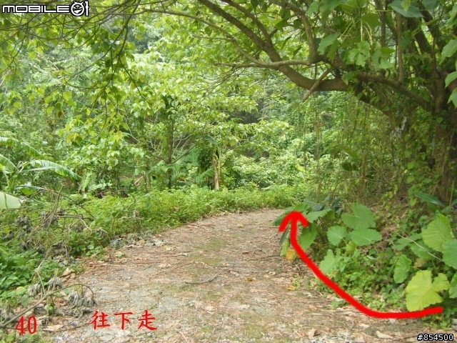 太平市山脈縱走-一江橋-龍寶橋-後璧農路-牛角坑-黃竹-竹仔坑路線介紹