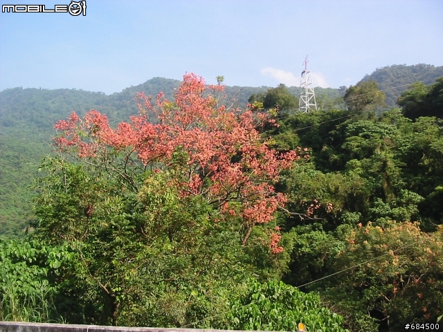 屏東縣 台24線霧台公路三地門至霧台阿禮(4+2)